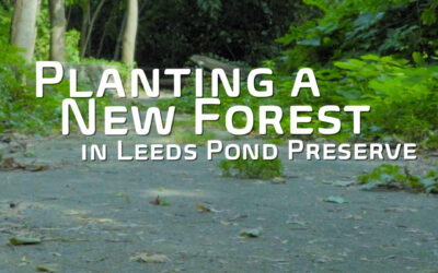 Leeds Pond Preserve